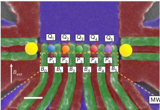 False-color micrograph of the five-qubit silicon device, qubits Q1 to Q5 marked in a row